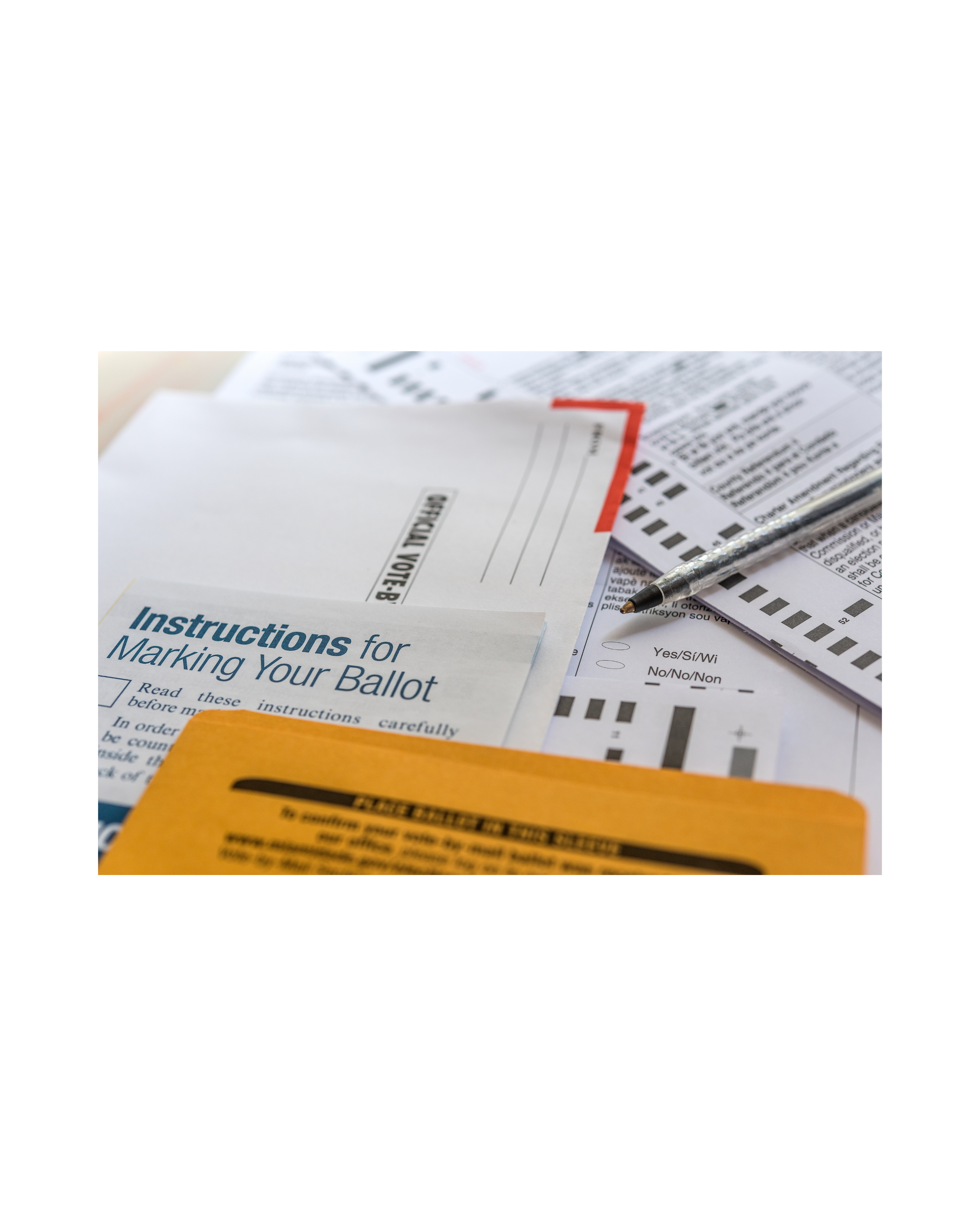 Voting Ballot