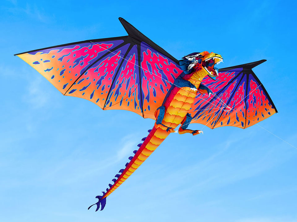"Kite Flying” Dragon Kites