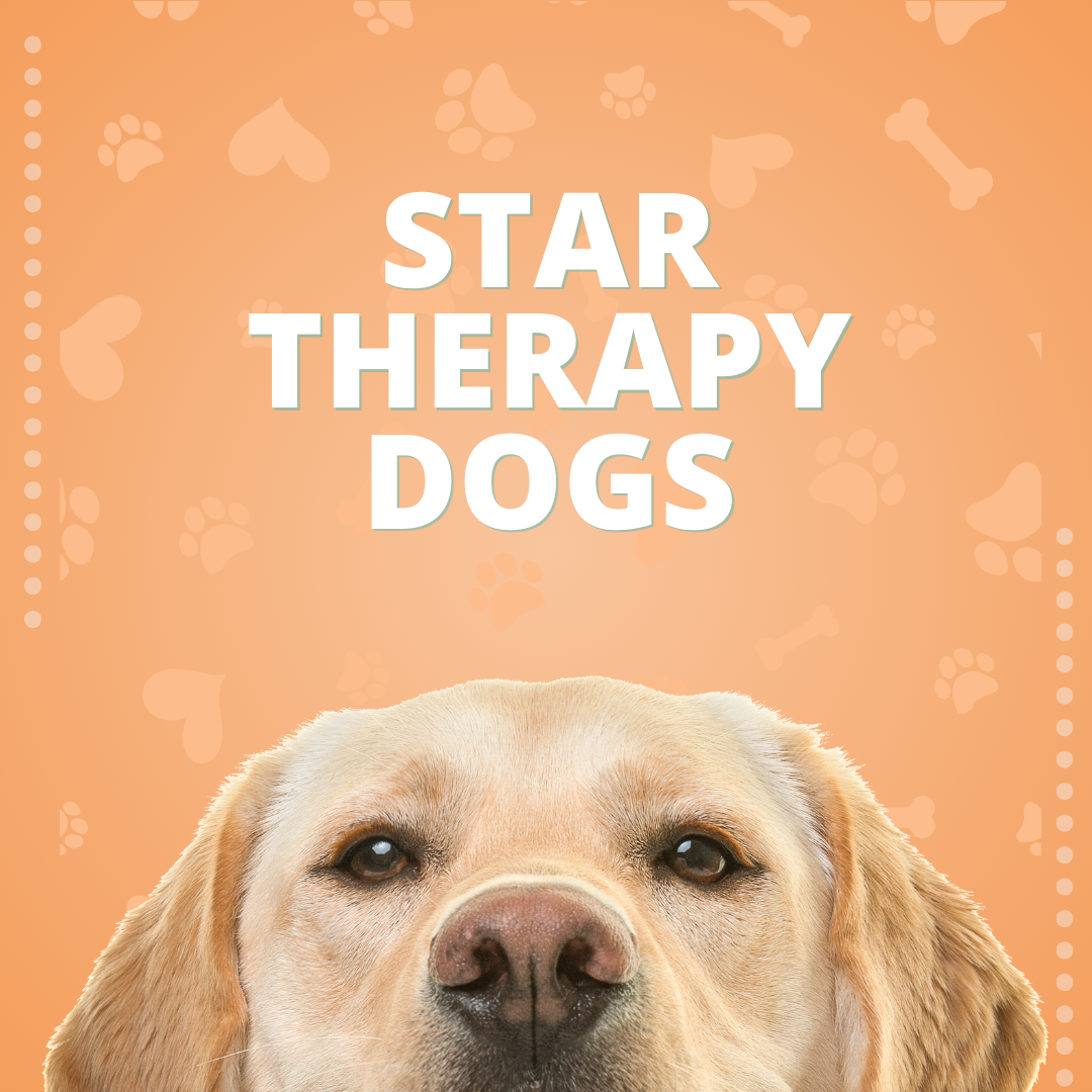 STAR Therapy Dogs