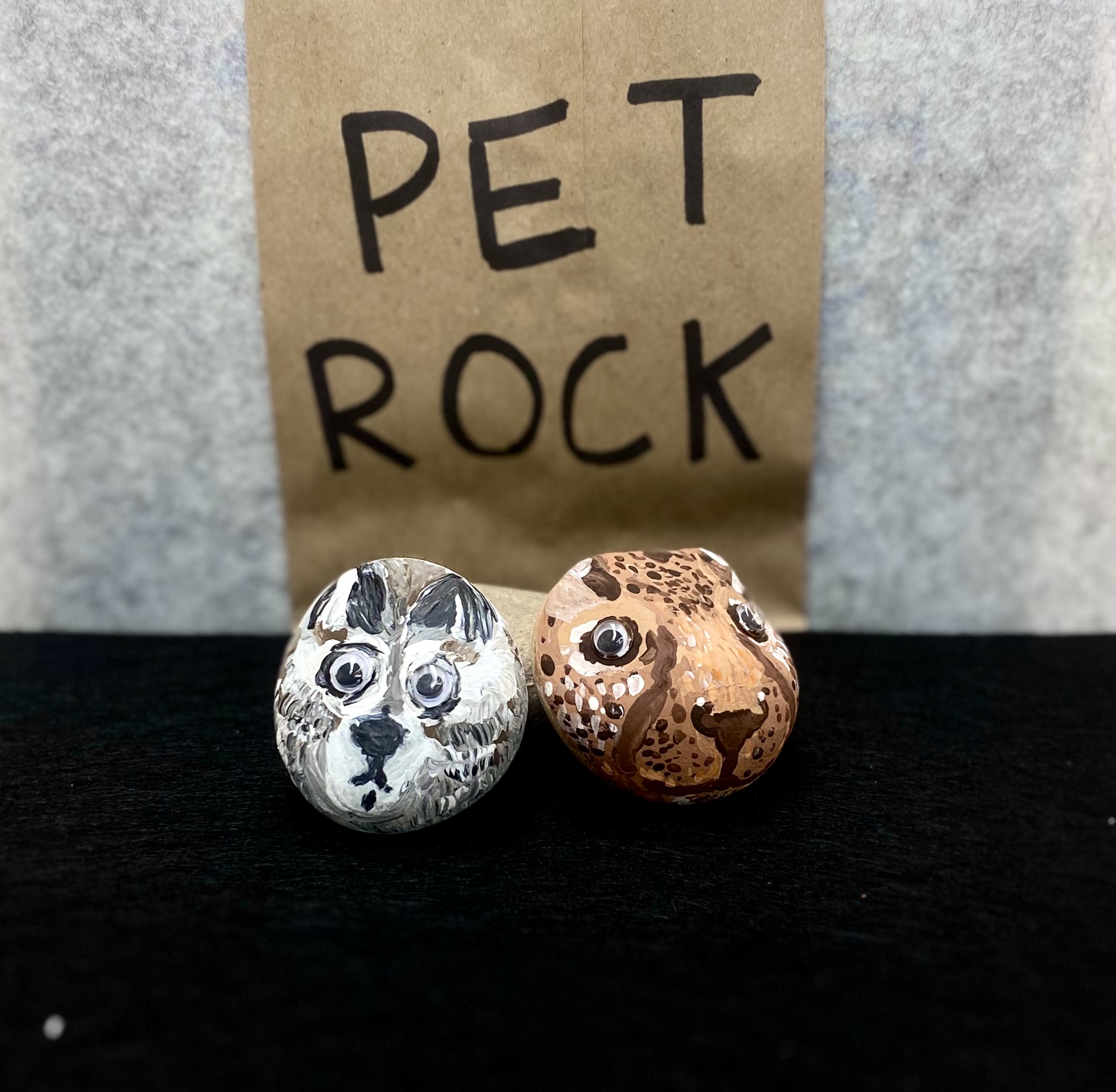 YA DIY: Pet Rocks