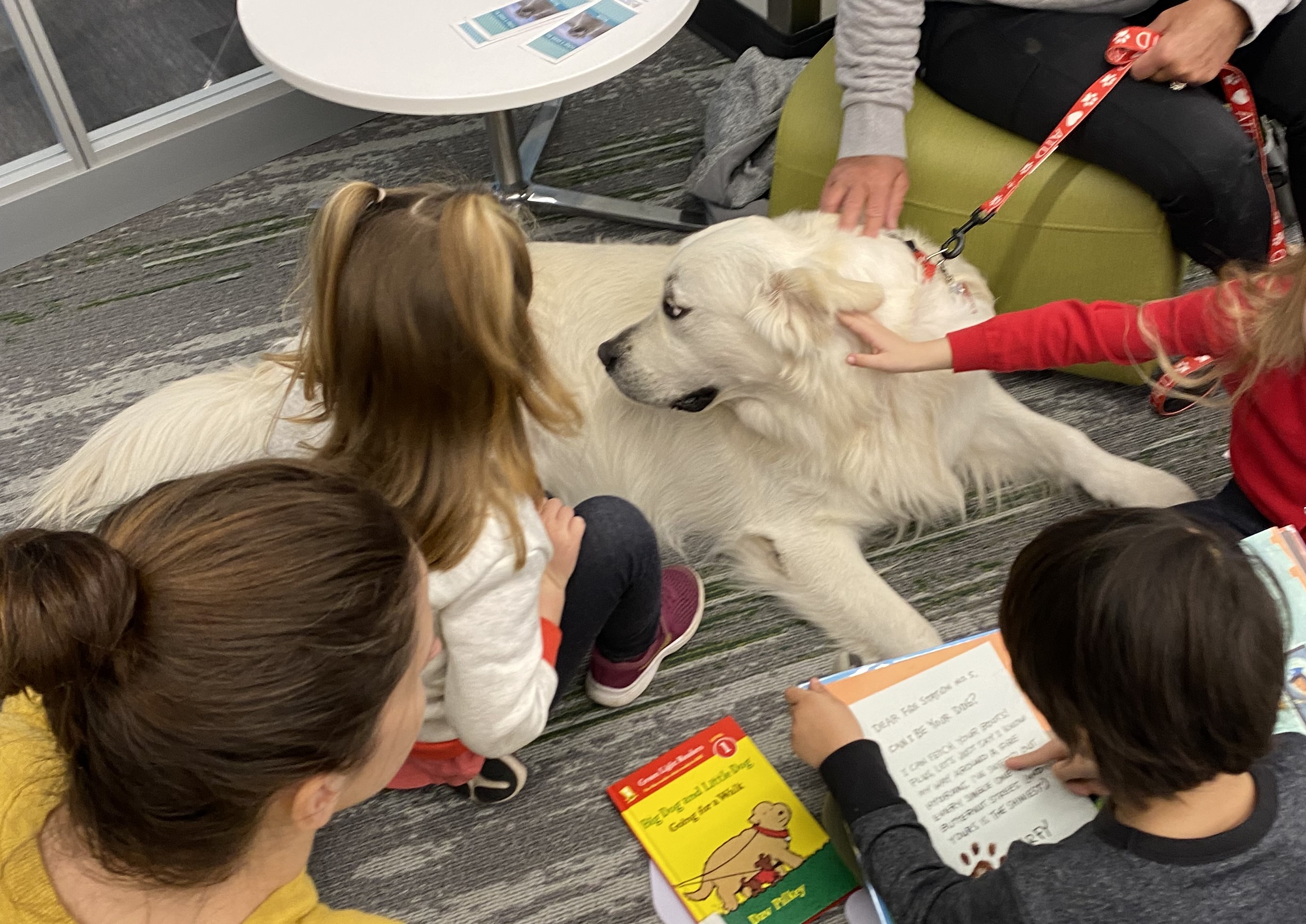 Read with a Therapy Dog! 