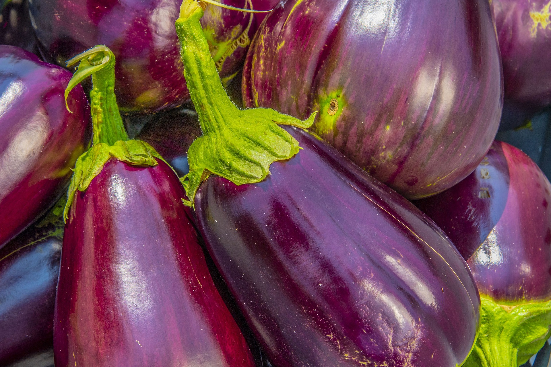E is for eggplant