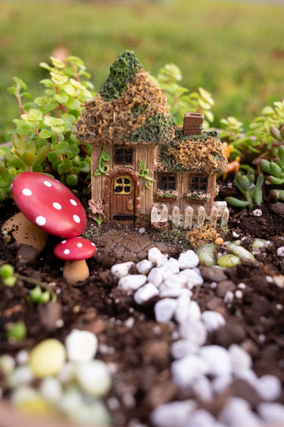 Create a Fairy House (ages 12 and under) 