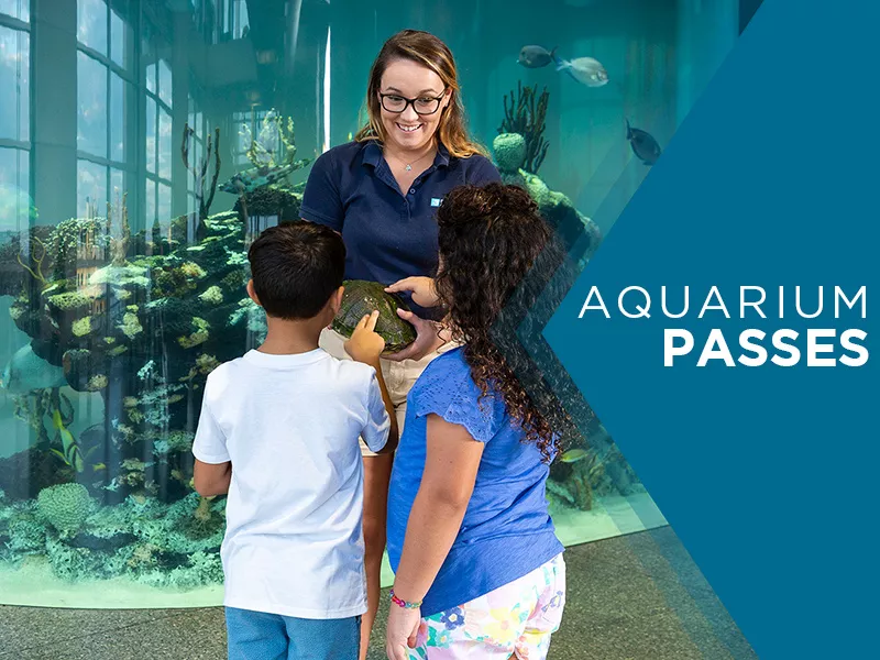 explore-aquarium-6