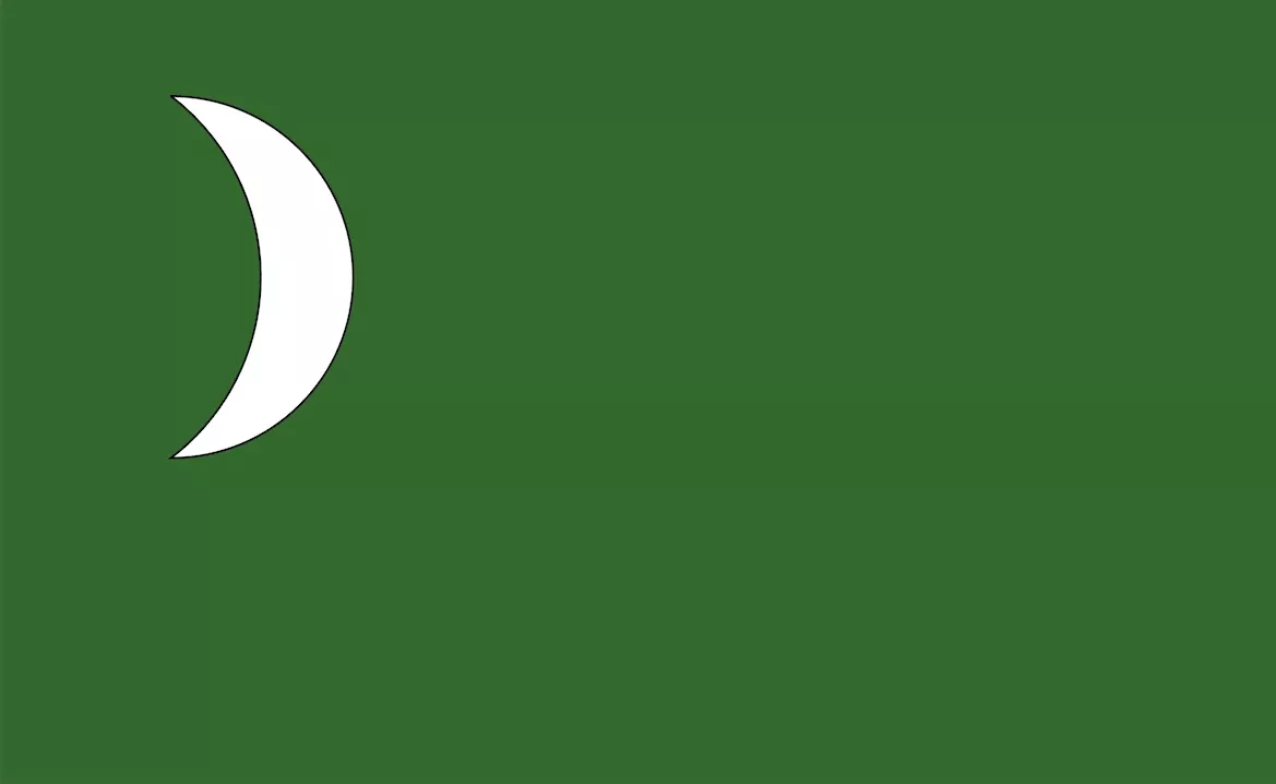 1775_SC_Provincial_flag_green