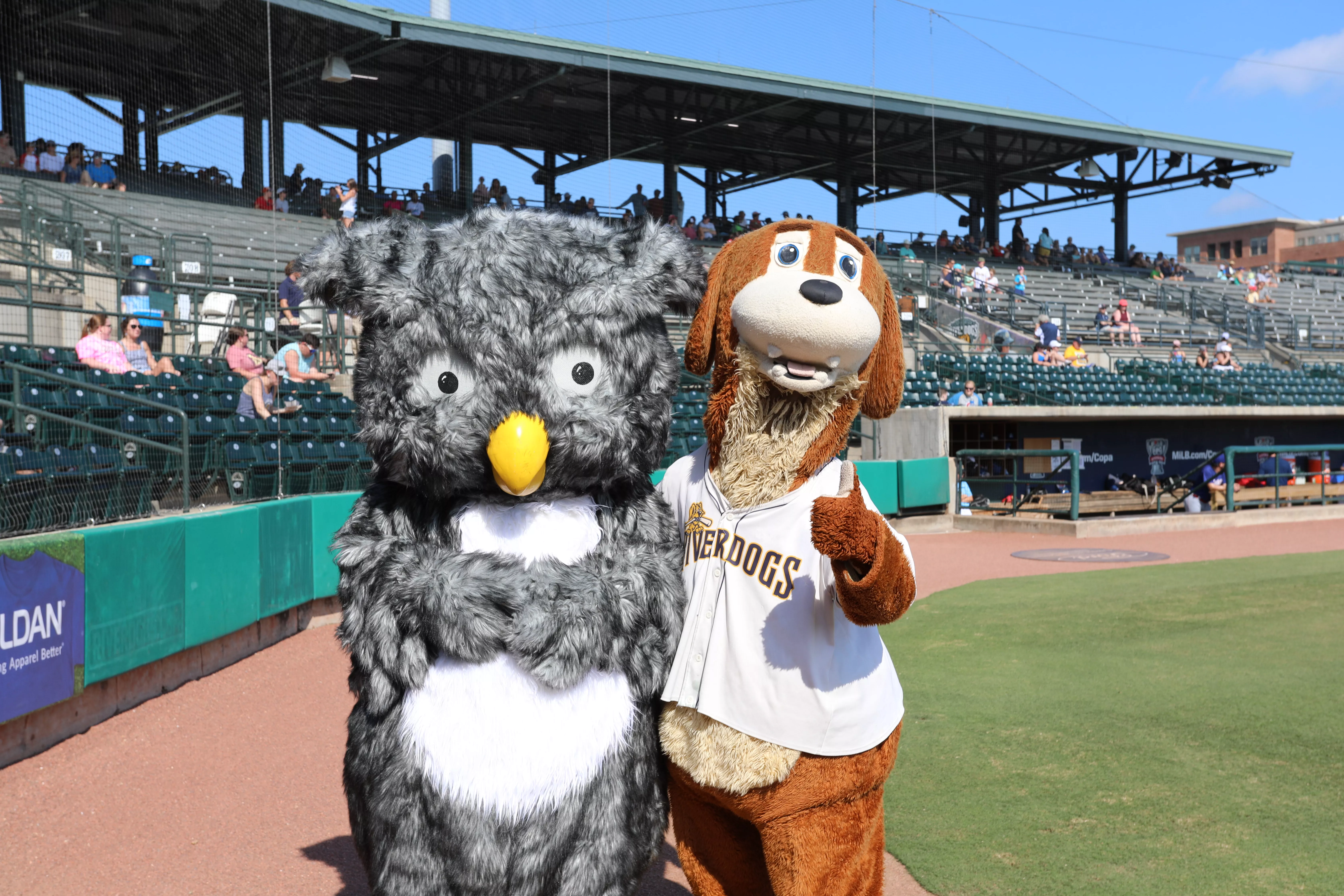Library Night With RiverDogs 