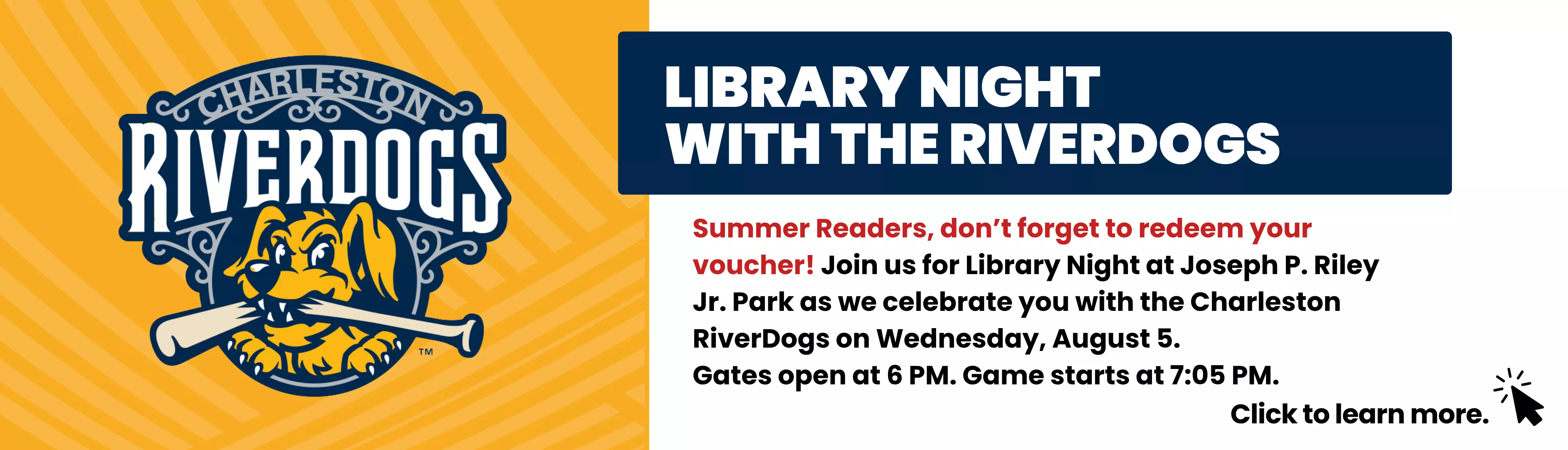 Library Night With RiverDogs Banner